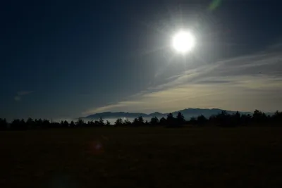 DSC_2987 (Large).JPG